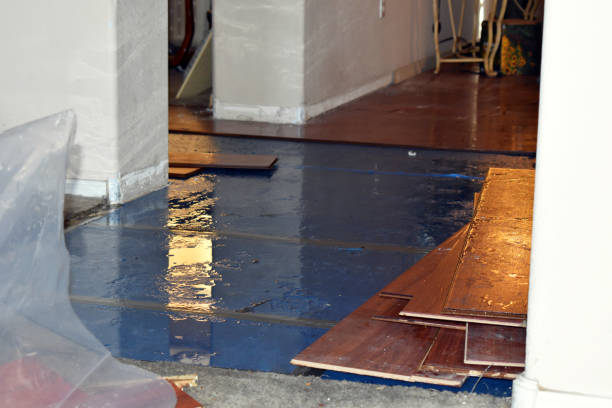 Professional Water Damage Restoration technician working in Rossburg, OH